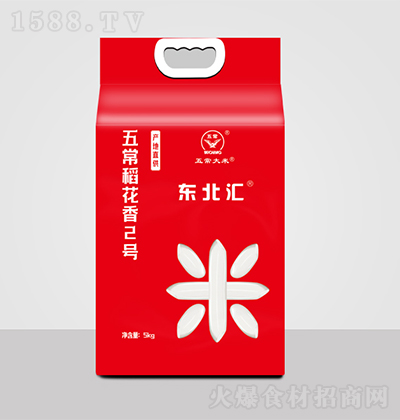 �|���R �峣������2̖ �峣����