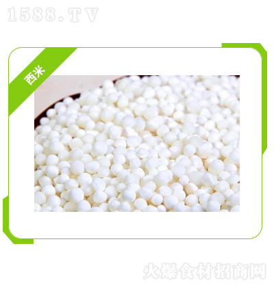 ��Z�� ���� �Zʳ��Ʒ