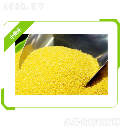 ��Z�� С�S�� �Zʳ��Ʒ