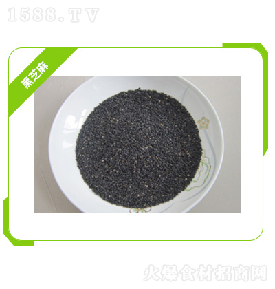 ��Z�� �W�֥�� ����֥�� �Zʳ��Ʒ