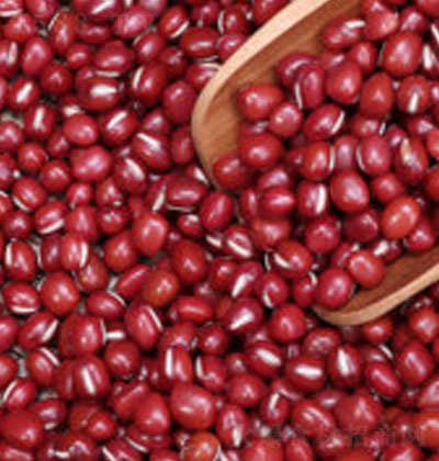 ɽɫ�����ЙC(j��)�t��400�� �|���ּZ����s�Z޲�׼t��ɳ����ԭ�Z