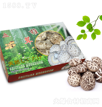 �{�� �軨���Y�� ��؛�����r���aƷ