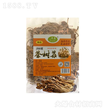 �`¹��乽 �{ζƷ �{ζ�� �\�д���