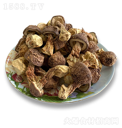 ���ɭ�� �����׸�؛�����خa(ch��n)���x���׾�������Ģ�����������Ҝ�500g