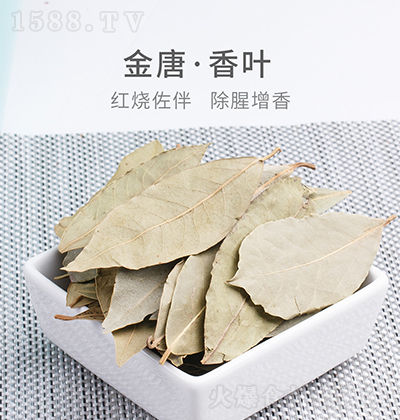 ���� ���~  �{(di��o)ζ�� ���� ����