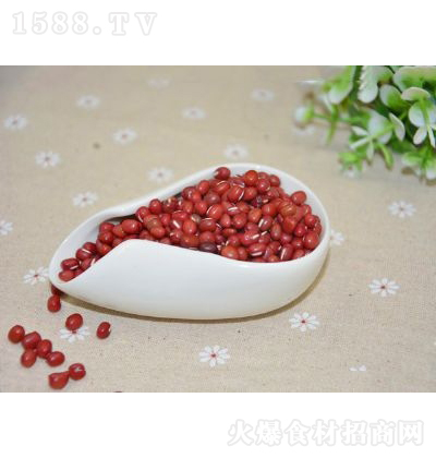 ����Ը �t�� �����ԭ�� �Zʳ �Z������