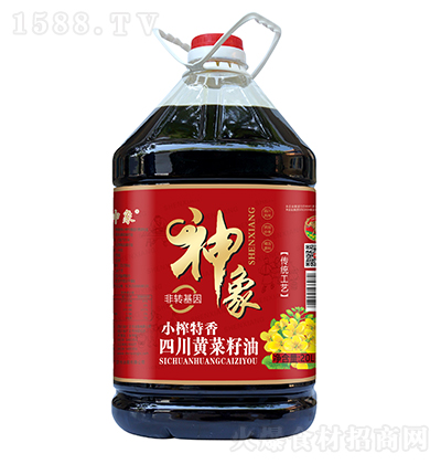 ���� Сե�����Ĵ��S������20L ֲ���� ʳ���� ������