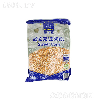 �N֮�x ������(������) �Zʳ �s�Z