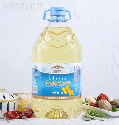 �ɼ� ��ե������5L ʳ���� �Z�����̼����д���