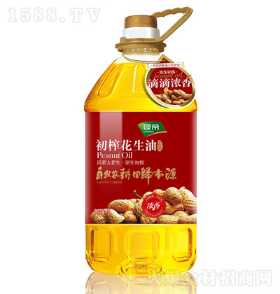 �G�۳�ե������5L ʳ���� ��ե������ �����