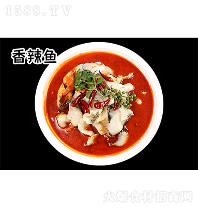 �N�Űˌ� �����~�{��  �{ζƷ���̼����д���