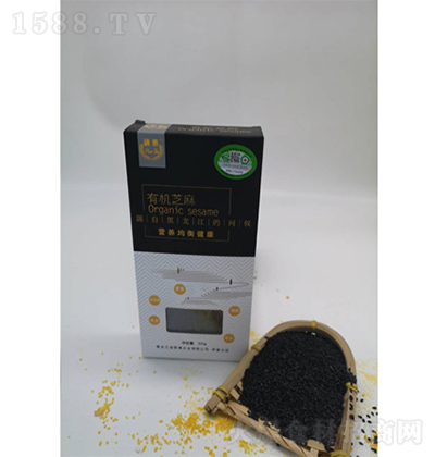 �T̩ �ЙC(j��)��֥�� ����s�Z�Zʳ���̼����д���