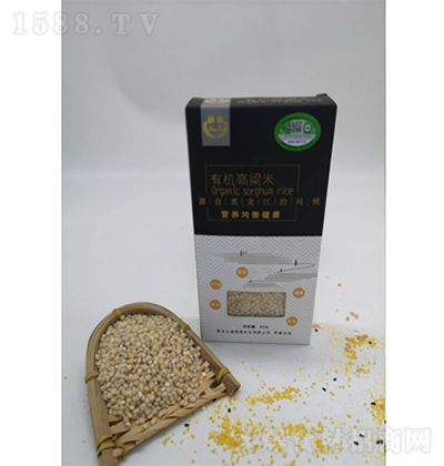 �T̩ �ЙC������ ����s�Z�Zʳ���̼����д���