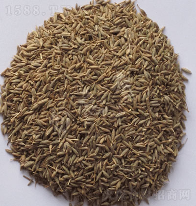 ��������Ȼ �{(di��o)ζ�� ����� �\(ch��ng)�д���