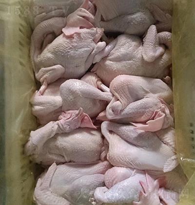 �v��ʳƷ �P����ĸ�u ��Ʒ�