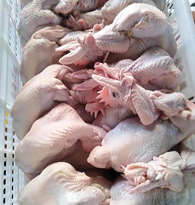 �v��ʳƷ ��ĸ�uը�u�� ��Ʒ�