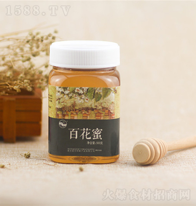 ʥؐ�� �ٻ���500g ��Ʒ�_�ԭ�����̼����д���