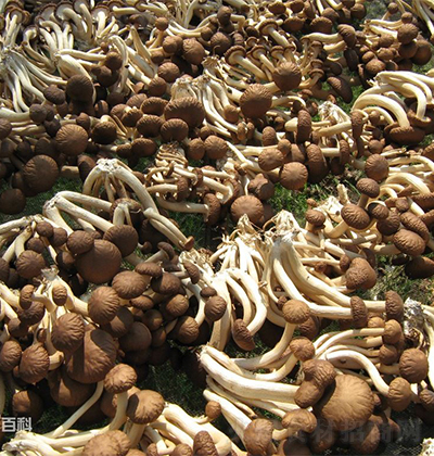 ���� ��乽 ��؛�д������д���