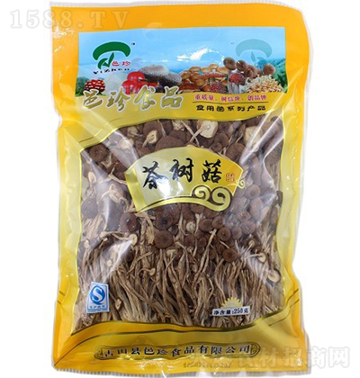 ���� ��乽2С���b ��؛�д������д���