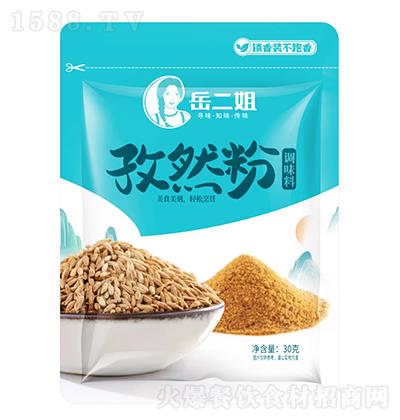 ������ ��Ȼ���{(di��o)ζ�� 30g