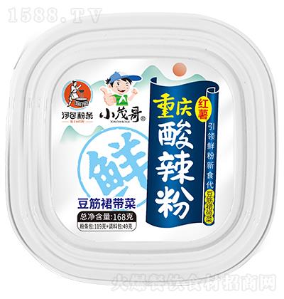 Сï�� �ؑc�t�������� ����ȹ���� 168g