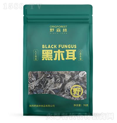 Ұɭ�� ��ľ��70��