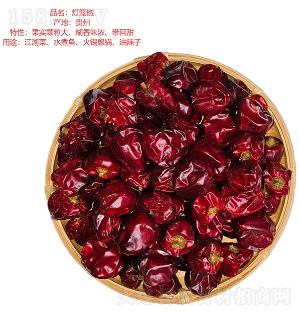 ��ǧ�� ���\��