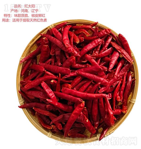 ��ǧ�� �t̫�