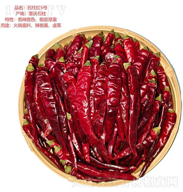 ��ǧ�� ʯ���t5̖