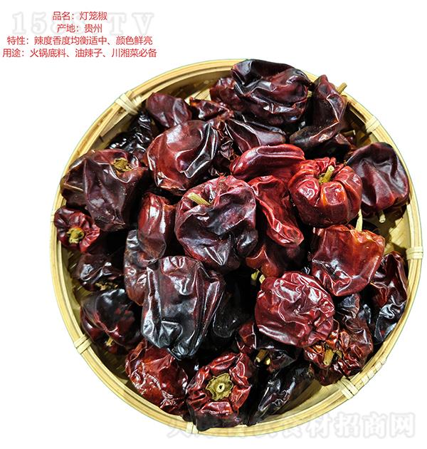 ��ǧ�� �ؼ����\��