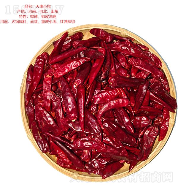 ��ǧ�� ����С��