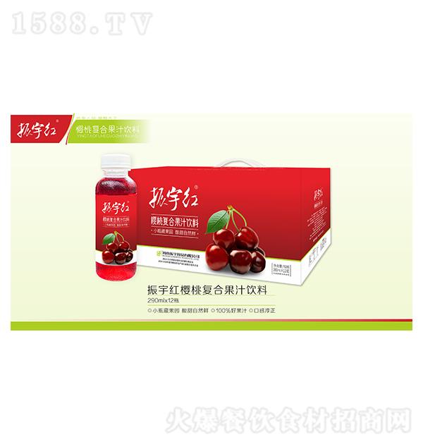 ����t ���ҏ�(f��)�Ϲ�֭���290ml