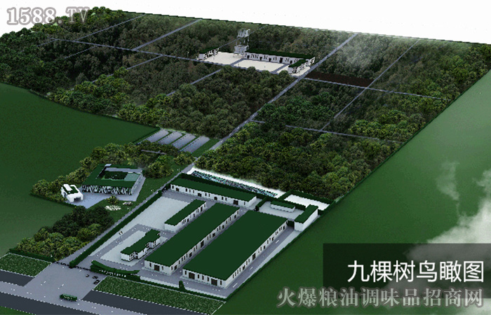 ���ϾſØ��r(n��ng)�I(y��)�l(f��)չ���޹�˾