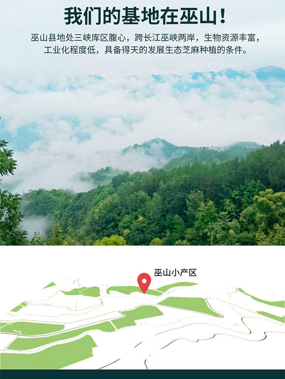 李磨油 巫麻芝麻醬260g 調(diào)味醬醬料