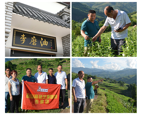 李磨油 巫麻芝麻醬260g 調(diào)味醬醬料