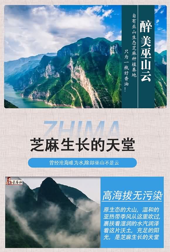 巫麻 黑芝麻巫麻香油 500ml 調(diào)味香油