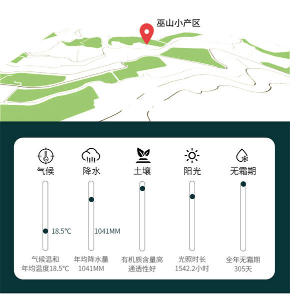 巫麻小磨芝麻香油 420ml 調(diào)味香油