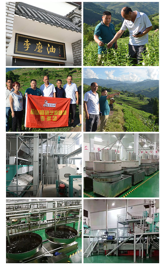 巫麻小磨芝麻香油 420ml 調(diào)味香油