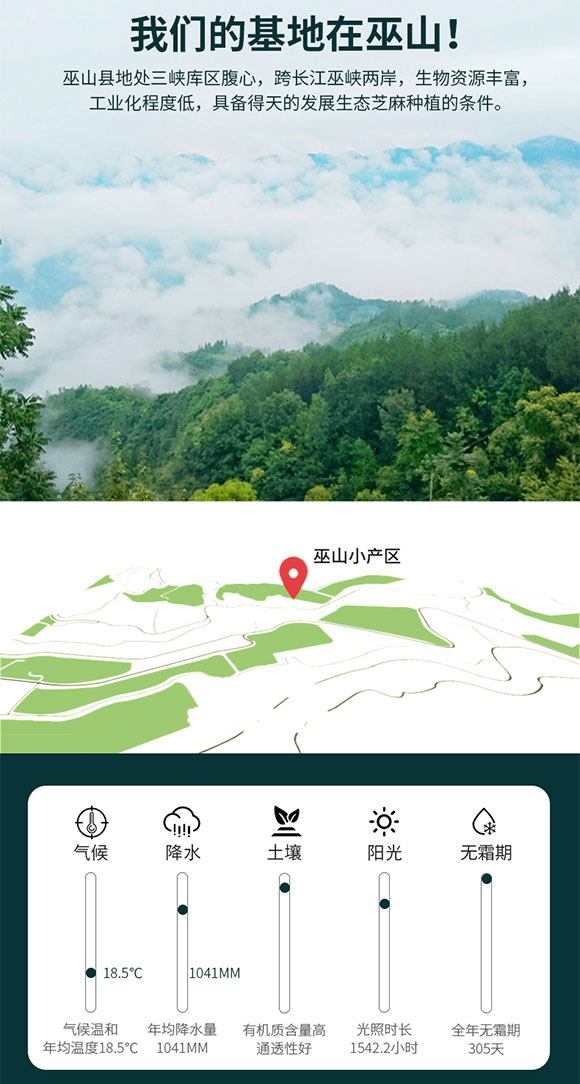 巫麻 小磨芝麻香油 180ml 調(diào)味香油