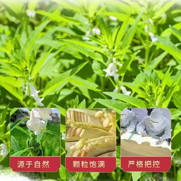 美克欣 芝麻花生醬320克 甄選原料 口感細膩 味香濃郁 石磨工藝5